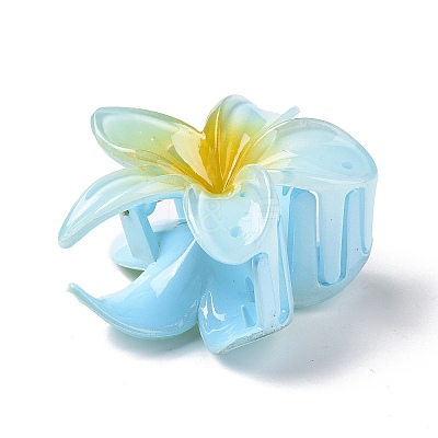 Plastic Claw Hair Clips LS-OHAR-P020-08A-1