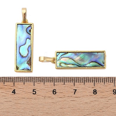 Rack Plating Natural Paua Shell Pendants KK-E059-14G-1