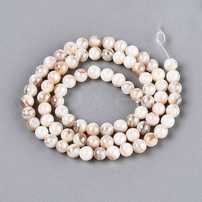 AB Color Natural Freshwater Shell Beads Strands BSHE-T014-40B-1