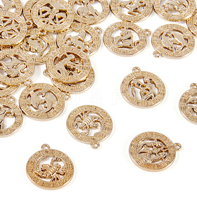 Zinc Alloy Jewelry Pendant Accessories FIND-FW0001-03A-1