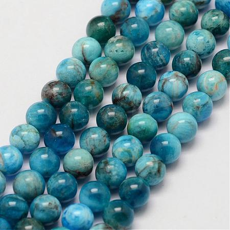 Natural Apatite Beads Strands G-D856-01-6.5mm-1