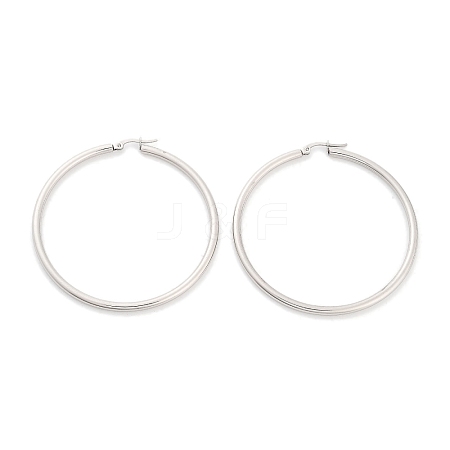 Non-Tarnish Ring 304 Stainless Steel Hoop Earrings for Women Men EJEW-B049-01I-P-1