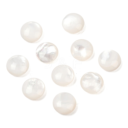 Natural White Shell Beads SSHEL-B006-03-1