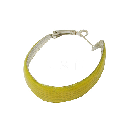Stylish Iron Hoop Earrings EJEW-Q610-2-1