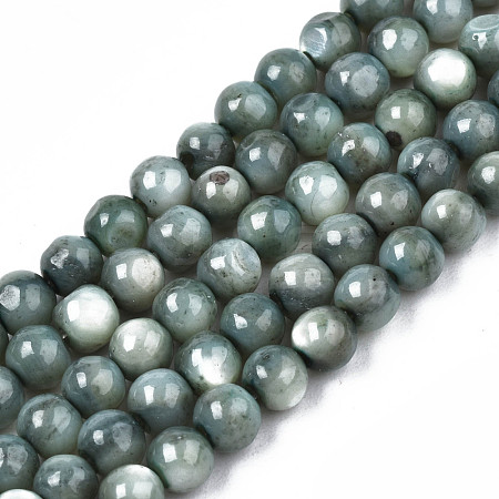 Natural Freshwater Shell Beads Strands SHEL-N003-24-B01-1