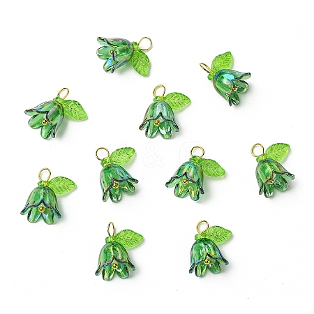 Transparent Acrylic Pendants PALLOY-YW00081-09-1