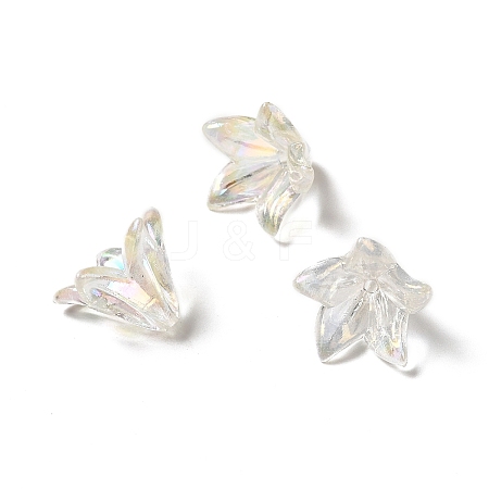 Transparent Acrylic Bead Caps OACR-H016-05A-1