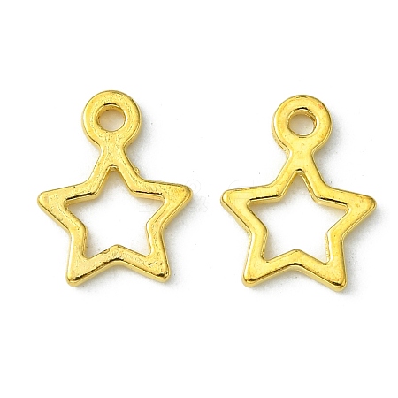 Tibetan Style Alloy Charms LS-K0NYK011-1