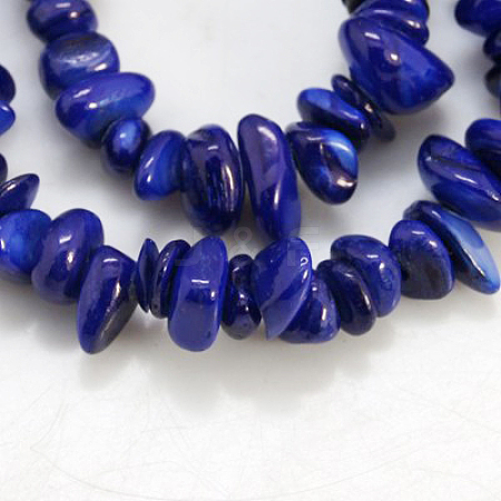 Natural Shell Beads Strands BSHE-D002-10-1