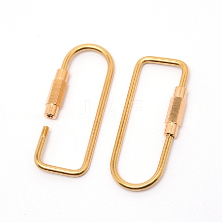 Embryo Brass Screw Carabiner Lock Charms KK-TAC0004-01G-1