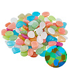 1 Set Resin Luminous Glow in the Dark Pebbles Stone DJEW-CN0001-40A-6
