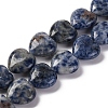 Natural Blue Spot Jasper Beads Strands G-I372-A13-02-1