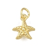 Brass Charms LS-ZIRC-I070-085G-1