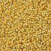 MIYUKI Delica Beads X-SEED-J020-DB2041-3