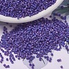 MIYUKI Delica Beads SEED-X0054-DB0880-1