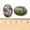 Natural Indian Agate Gemstone Cabochons G-T020-18x25mm-27-3