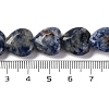 Natural Blue Spot Jasper Beads Strands G-I372-A13-02-3