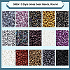 300G 15 Style Glass Seed Beads SEED-NB0001-38-5