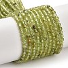 Natural Peridot Beads Strands G-B107-A06-01-2