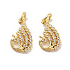 Peacock Brass Micro Pave Clear Cubic Zirconia Charms KK-G425-16-2