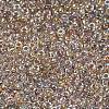 MIYUKI Round Rocailles Beads X-SEED-G007-RR3645-2
