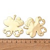 Alloy Pendants FIND-Z095-11G-3