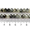 Natural Prehnite Beads Strands G-K380-A38-04-5