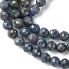 Natural Sapphire Beads Strands G-F748-M01-02-4