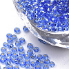 Silver Lined Glass Seed Beads SEED-Q025-1.5mm-C08-1