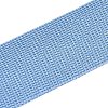 Polyester Ribbons OCOR-N011-01A-05-2