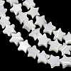 Natural Trochid Shell/Trochus Shell Beads Strands SH-CBA2978-17A-3