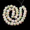 Handmade Lampwork Beads Strands LAMP-N021-015A-06-2