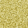 MIYUKI Delica Beads SEED-X0054-DB0623-3