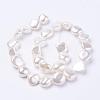 Shell Pearl Beads Strands BSHE-L035-F01-2