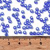 8/0 Glass Seed Beads SEED-Z001-C-E06-4