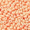 Baking Paint Glass Seed Beads X1-SEED-B001-02A-16-3