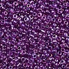 12/0 Glass Seed Beads SEED-A016-2mm-213-3