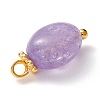 Natural Amethyst Charms PALLOY-JF01092-02-2