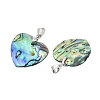 Natural Abalone Shell/Paua Shell Pendants SSHEL-M024-01-3