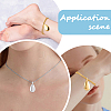 2Pcs 2 Colors 201 Stainless Steel Teardrop Memorial Urn Ashes Pendant Necklaces NJEW-CN0001-21-5