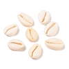 Natural Cowrie Shell Beads BSHE-Q296-1-1