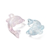 Luminous Translucent Acrylic Pendants AC-CBA5040-07-3