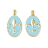 Brass Enamel Pendants KK-R226-09G-2