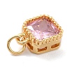 Real 18K Gold Plated Brass Inlaid Cubic Zirconia Charms ZIRC-L100-073G-06-4