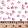 Transparent Inside Colours Glass Seed Beads SEED-T007-13F-4