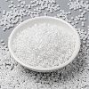 MIYUKI Round Rocailles Beads X-SEED-G008-RR0528-2
