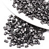 FGB 2-Hole Glass Seed Beads SEED-S031-M-SH576-1