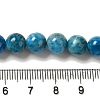 Natural Apatite Beads Strands G-S150-18-8mm-5