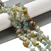 Natural Flower Amazonite Chips Beads Strands X-G-M205-12-01-6