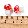 Handmade Lampwork Beads LAMP-F034-01I-3